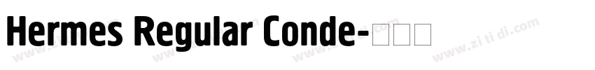 Hermes Regular Conde字体转换